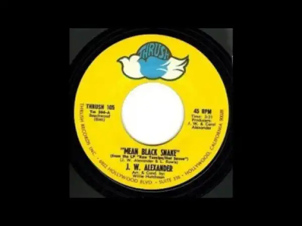 J. W. Alexander - Mean Black Snake